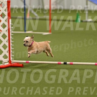 Molly-Cheryl-Christy-07638