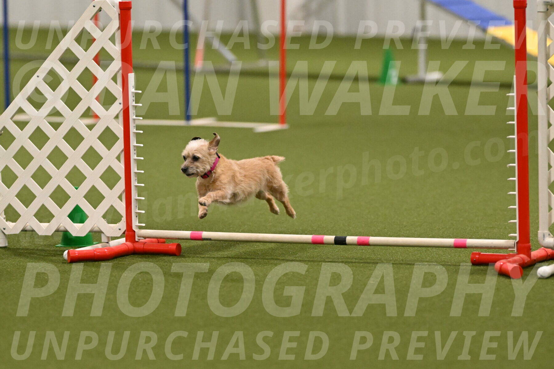 Molly-Cheryl-Christy-07638