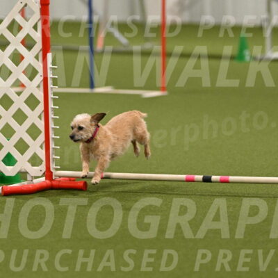 Molly-Cheryl-Christy-07639