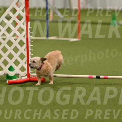 Molly-Cheryl-Christy-07640