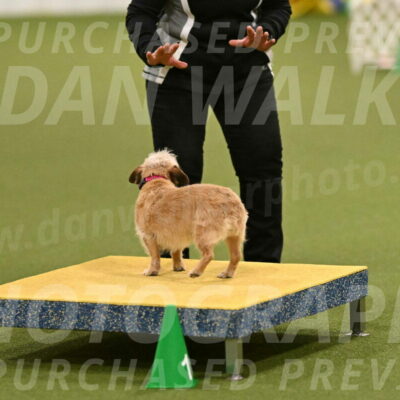 Molly-Cheryl-Christy-07641