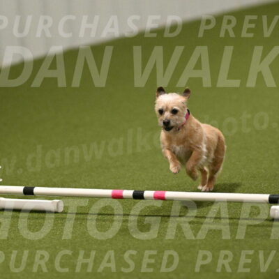 Molly-Cheryl-Christy-07643