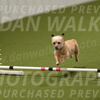 Molly-Cheryl-Christy-07644