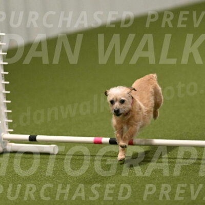 Molly-Cheryl-Christy-07645