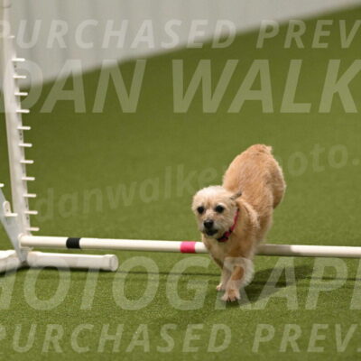 Molly-Cheryl-Christy-07646