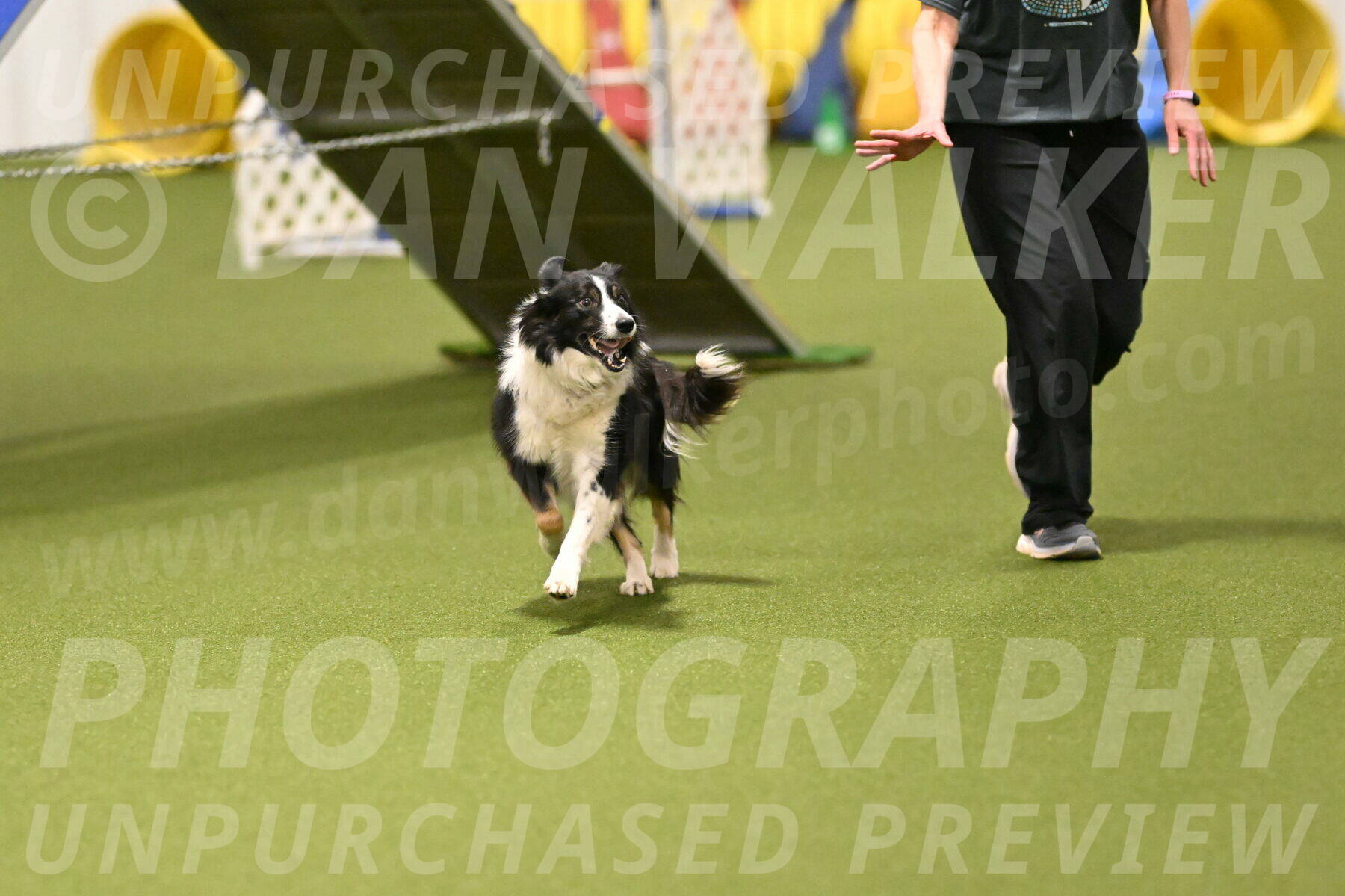 Myka-Sarah-Gould-08047