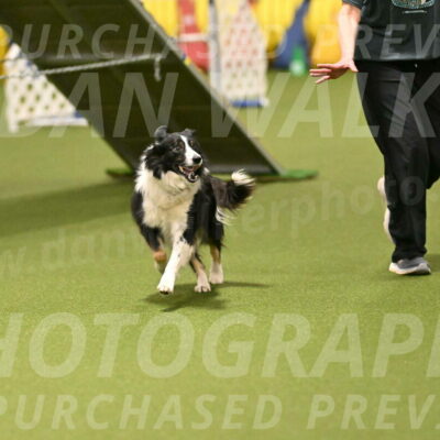 Myka-Sarah-Gould-08047