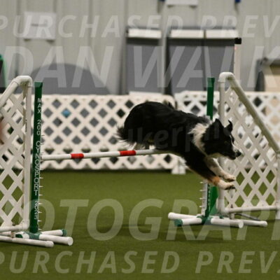 Myka-Sarah-Gould-08048