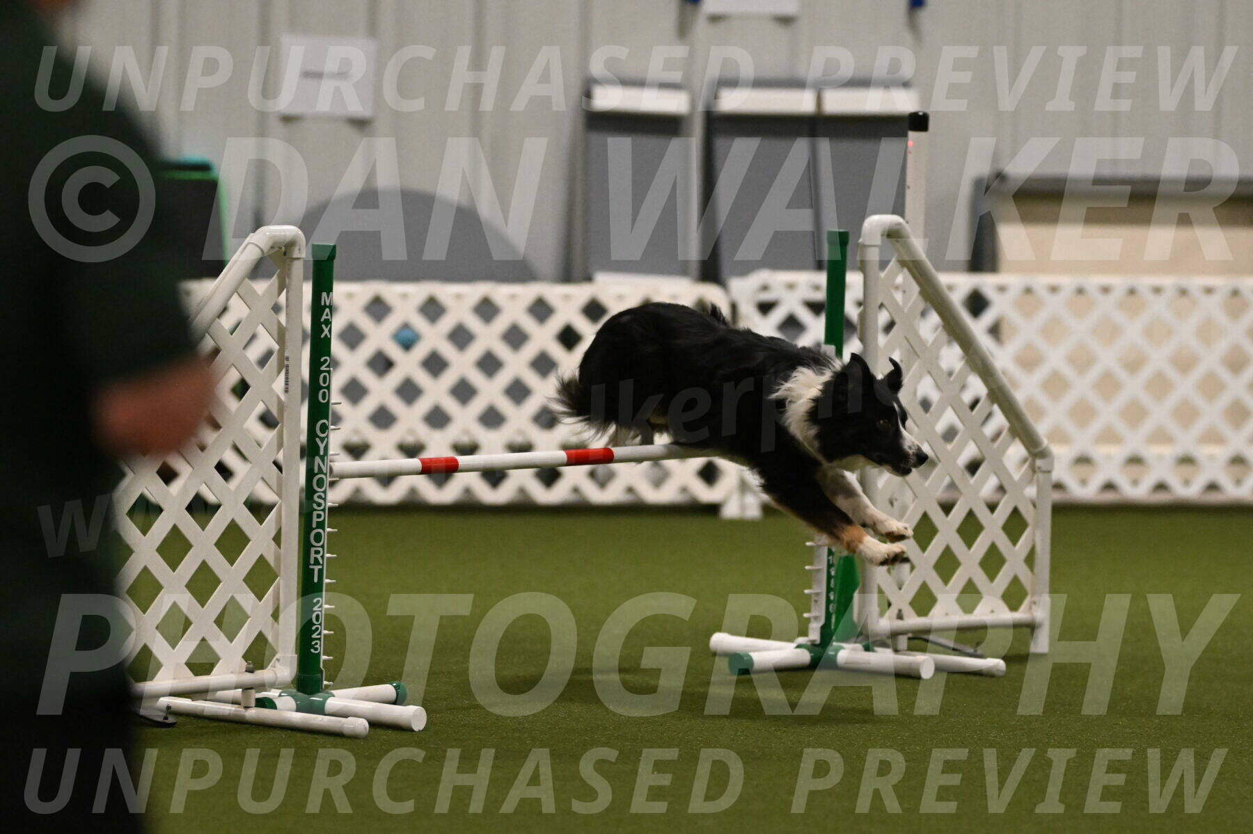 Myka-Sarah-Gould-08048