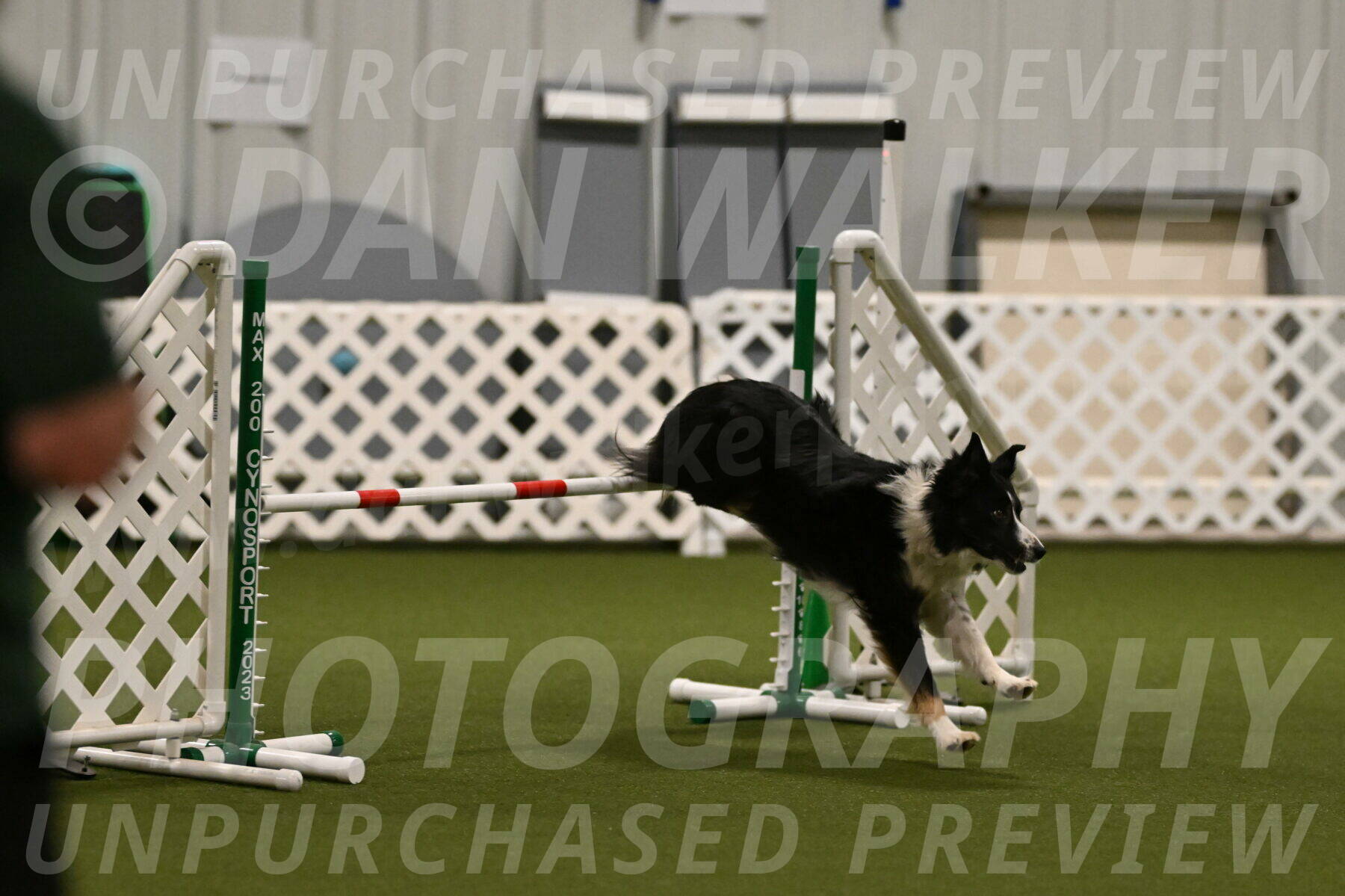 Myka-Sarah-Gould-08049