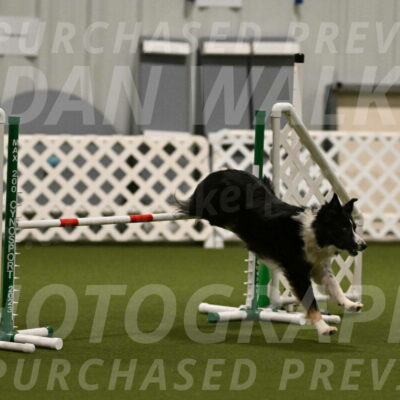 Myka-Sarah-Gould-08049