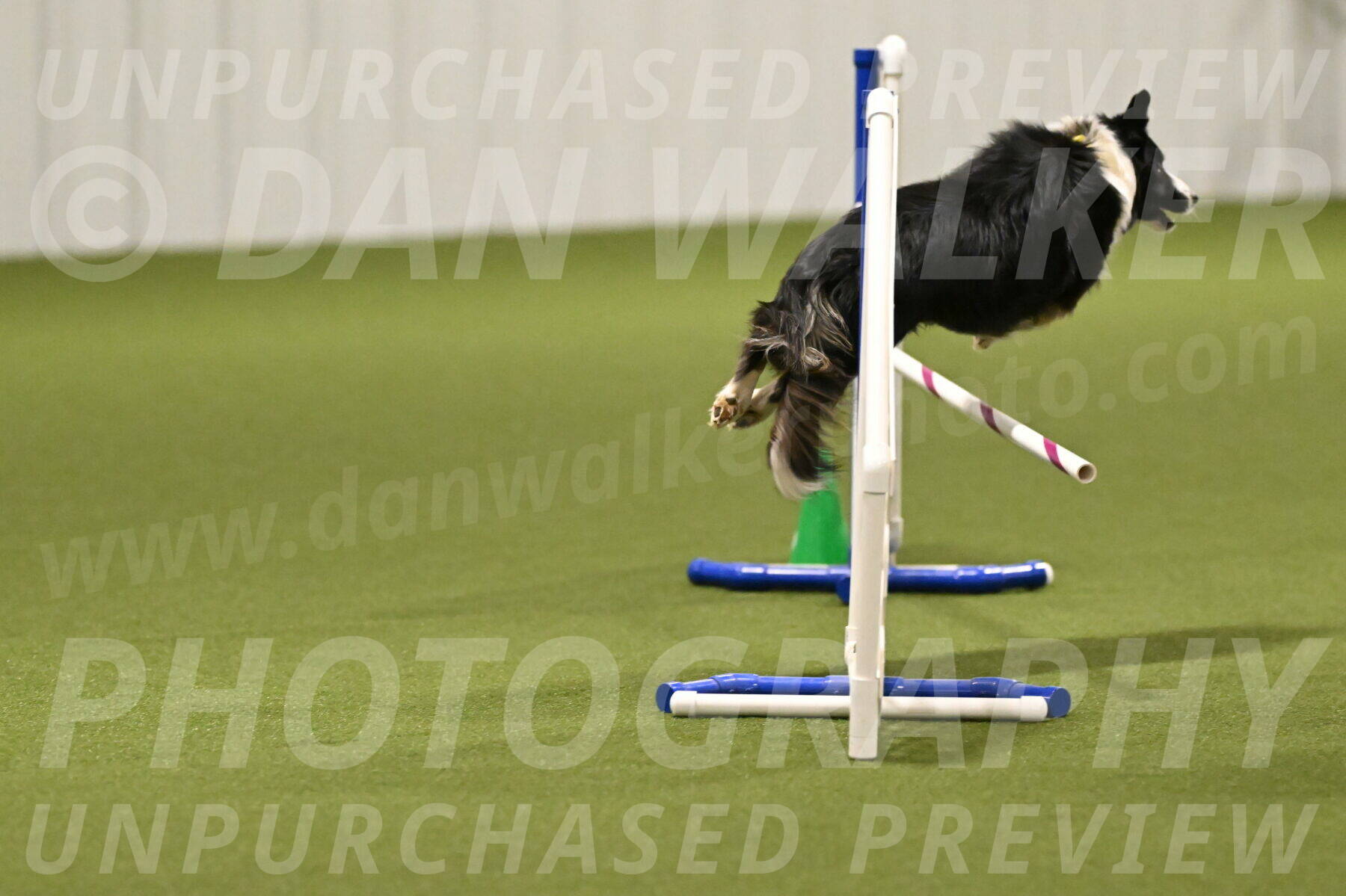 Myka-Sarah-Gould-08050