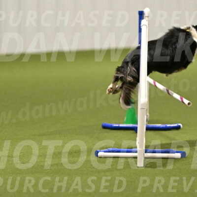 Myka-Sarah-Gould-08050