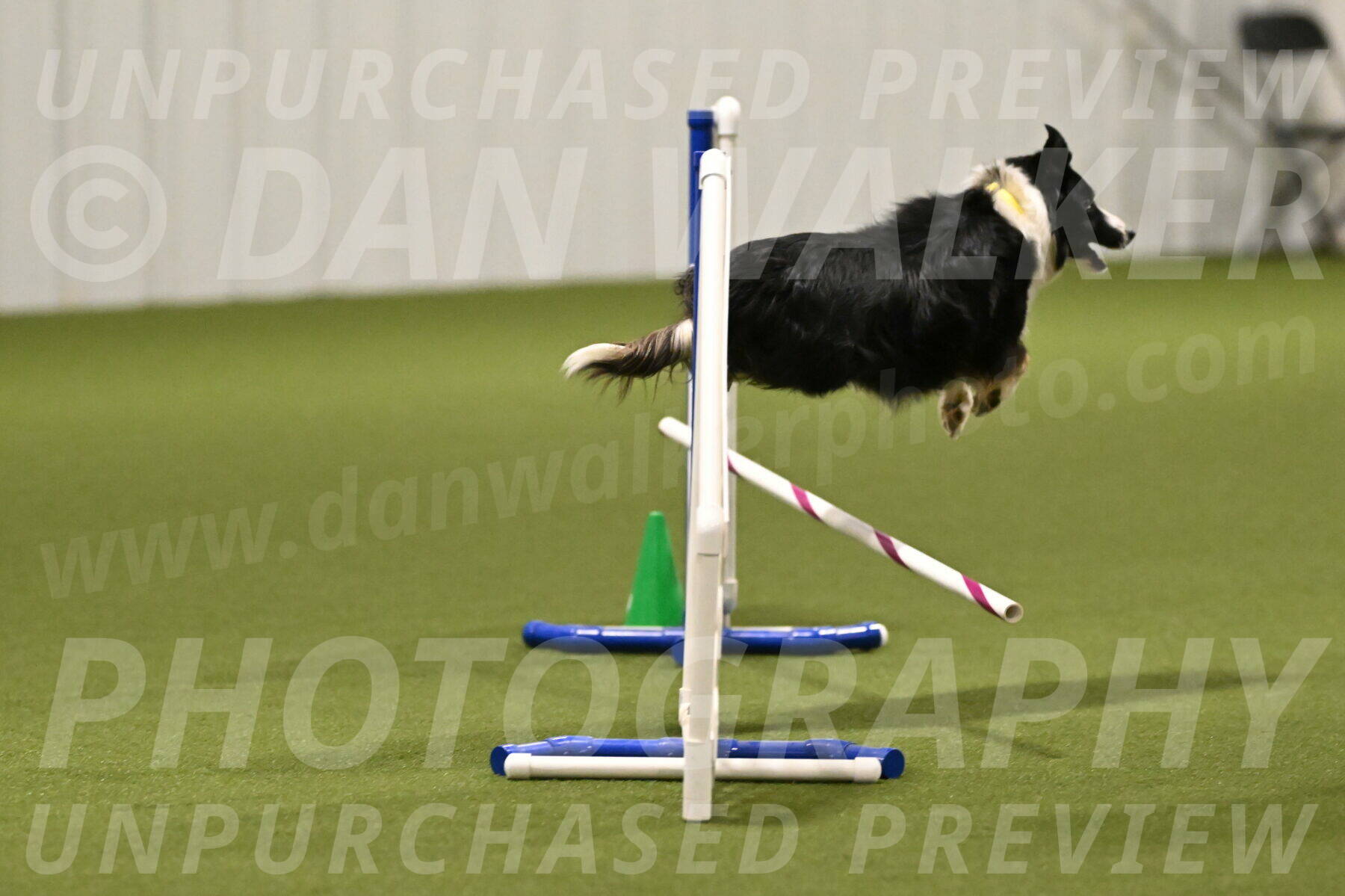 Myka-Sarah-Gould-08051