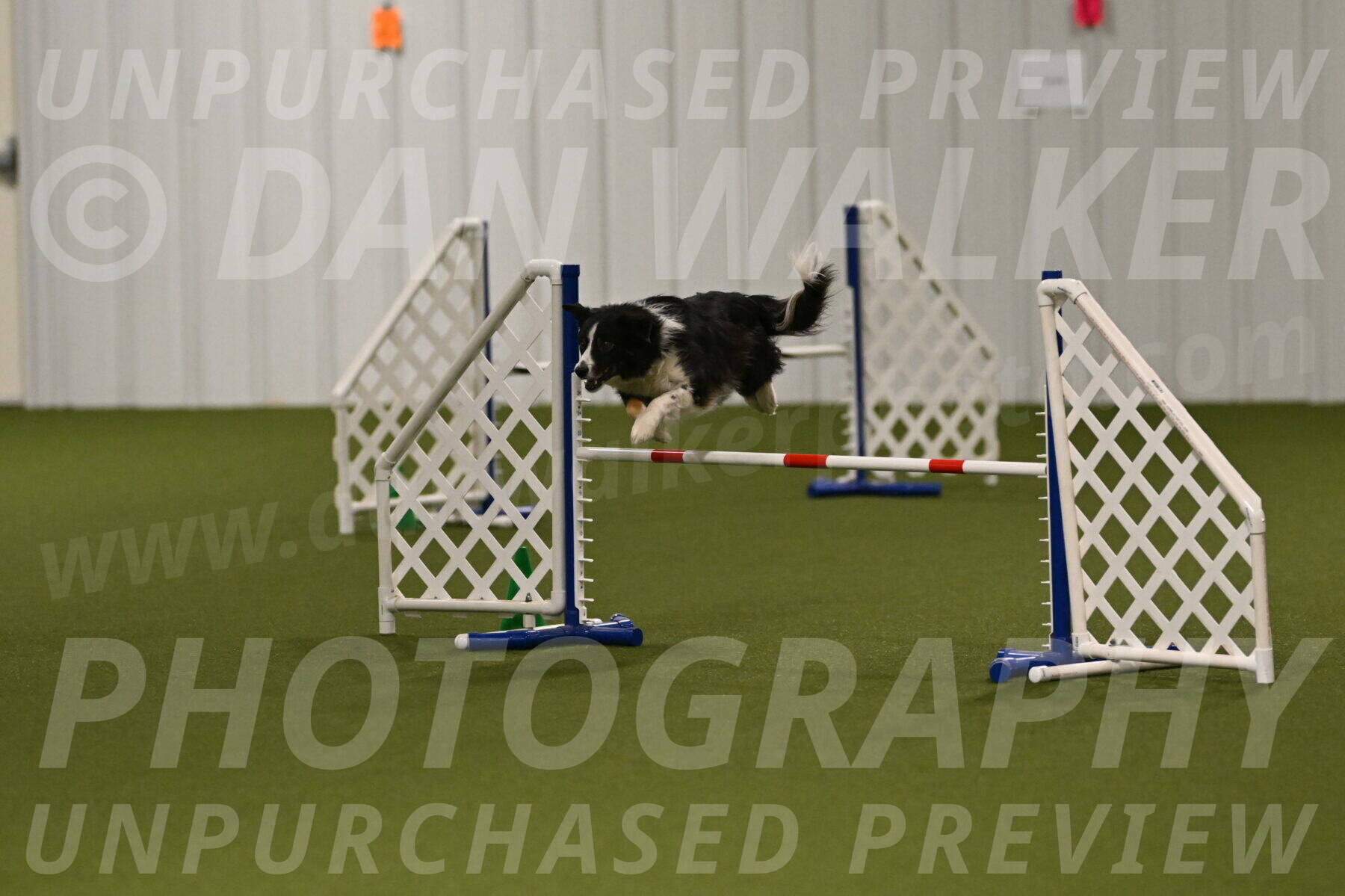 Myka-Sarah-Gould-08052