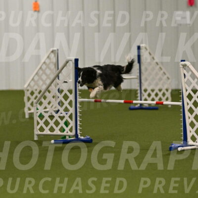 Myka-Sarah-Gould-08052