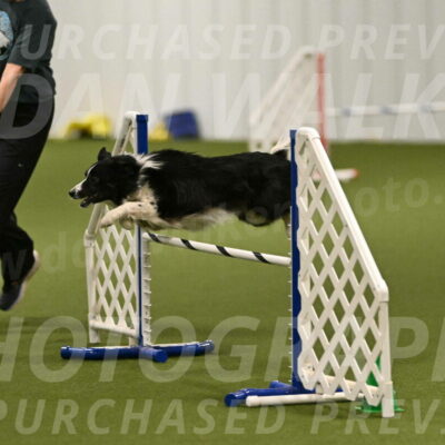 Myka-Sarah-Gould-08053