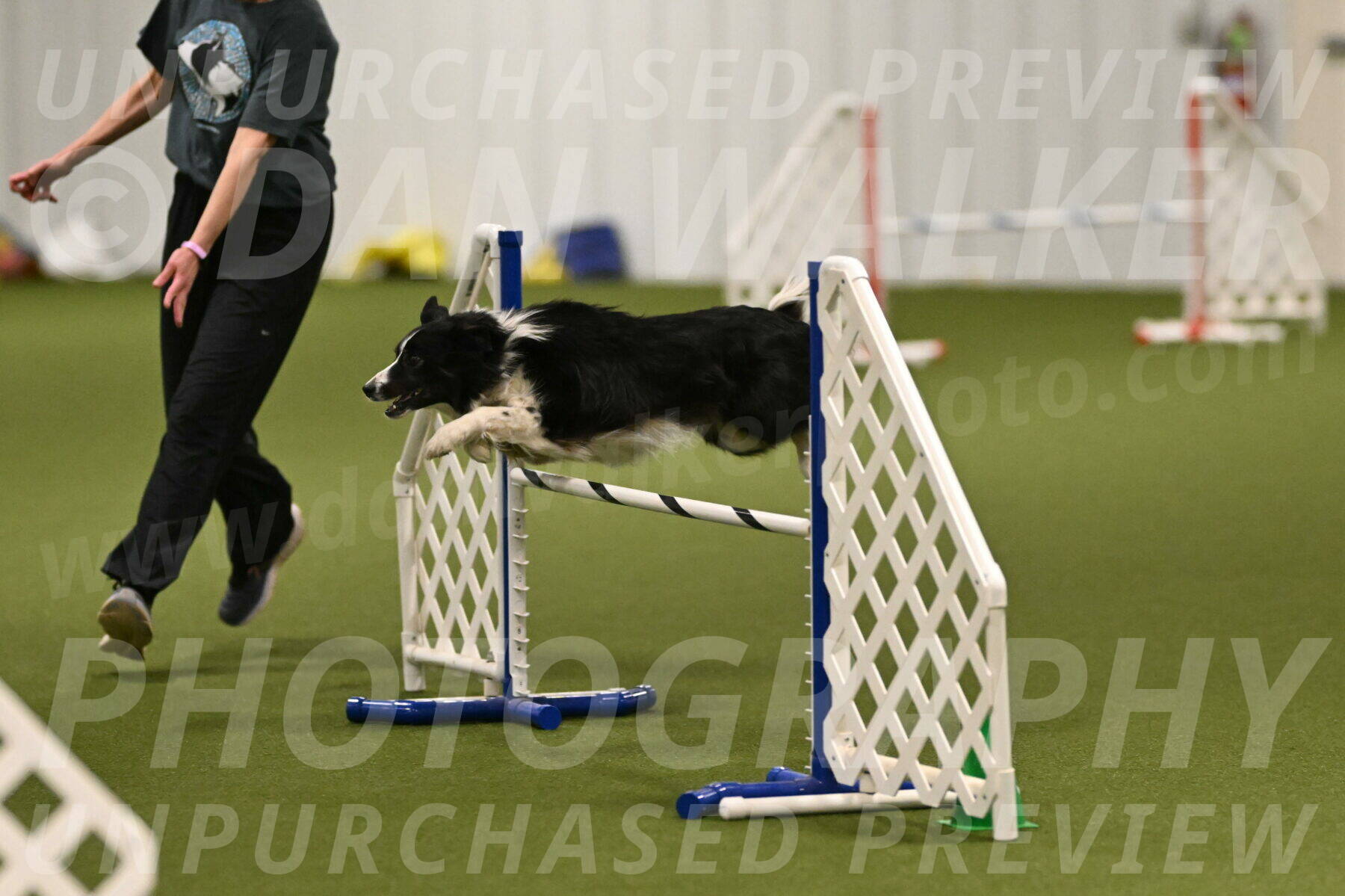 Myka-Sarah-Gould-08053