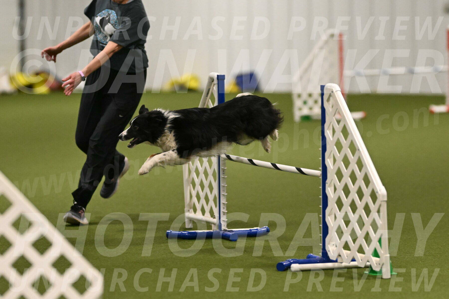 Myka-Sarah-Gould-08054