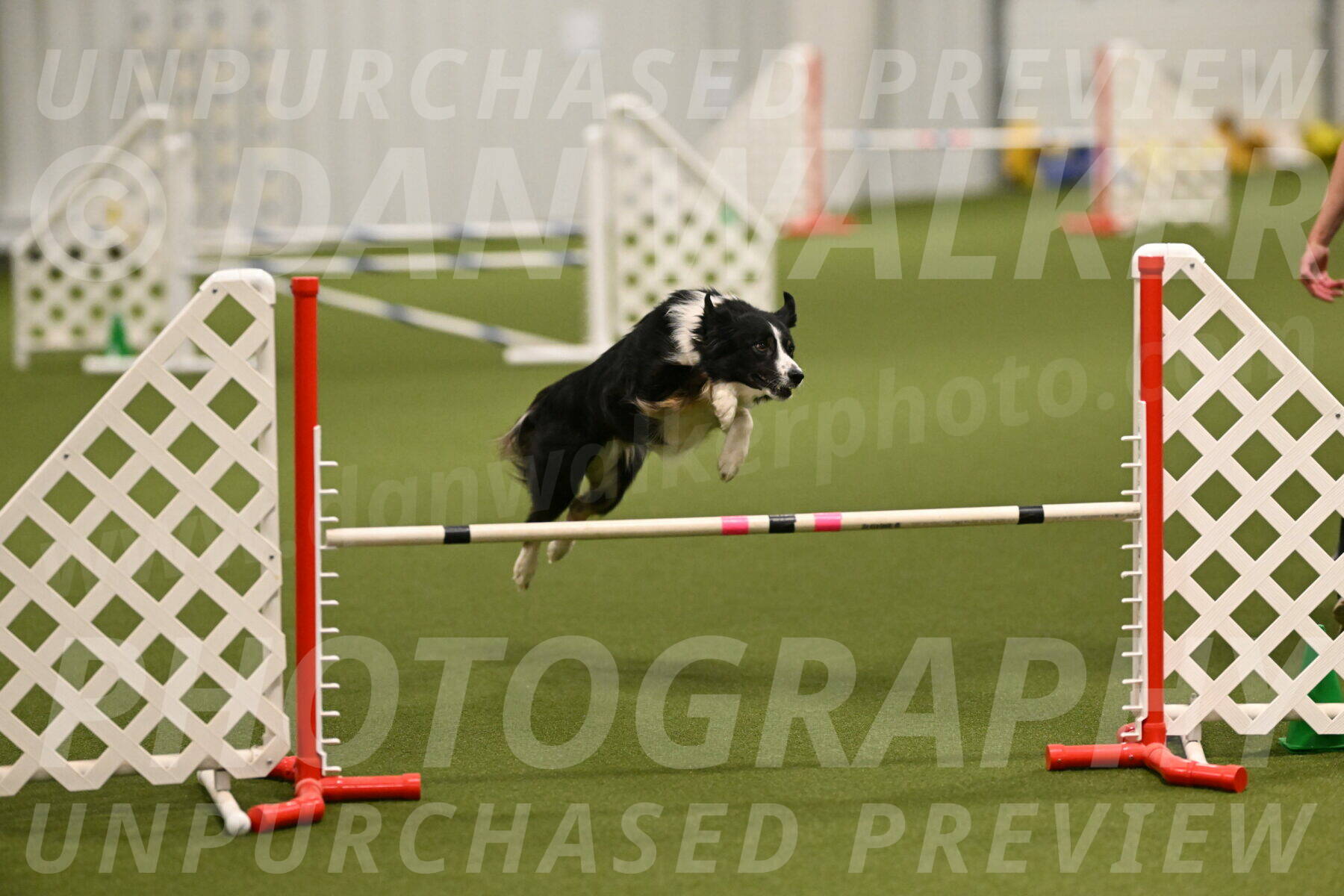 Myka-Sarah-Gould-08055