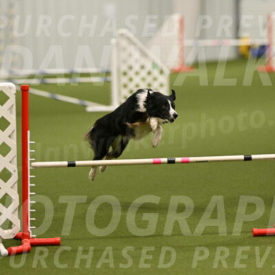 Myka-Sarah-Gould-08055