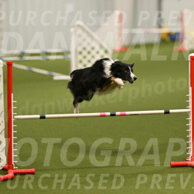 Myka-Sarah-Gould-08056