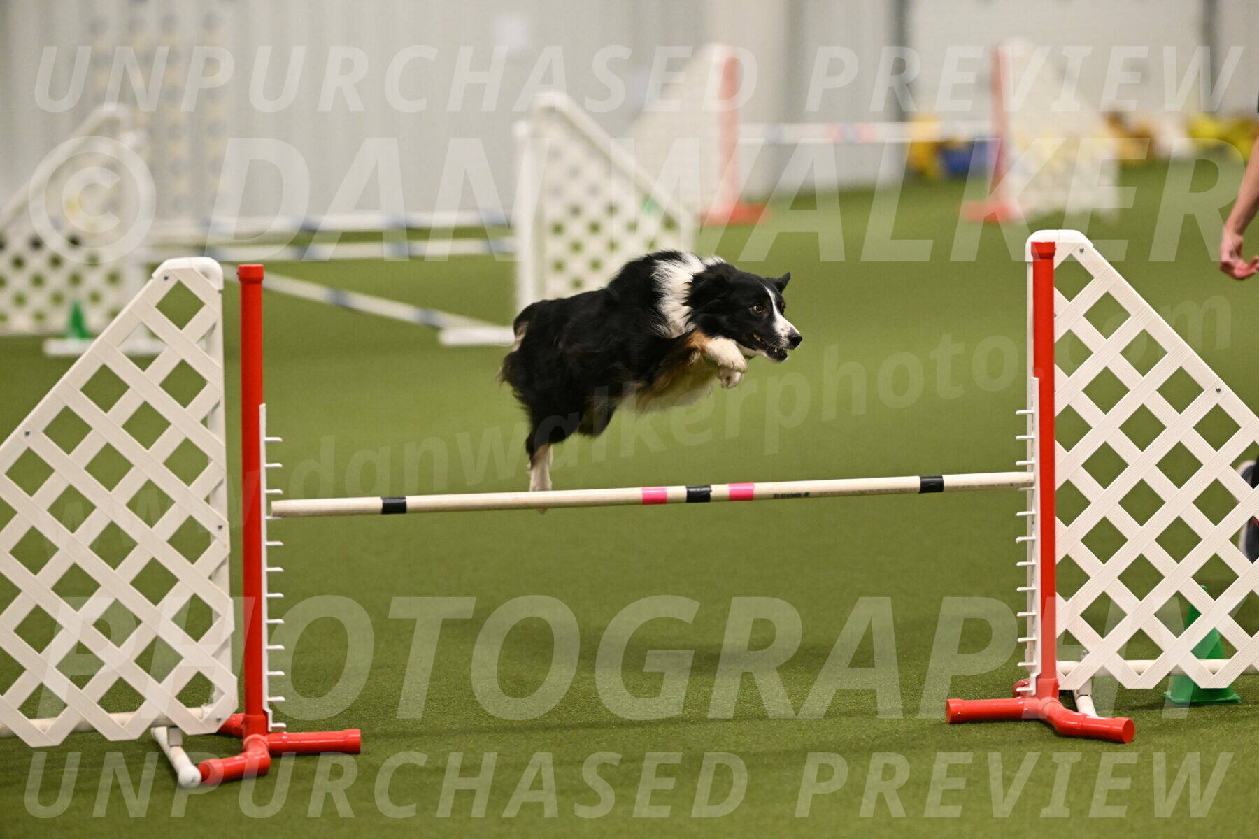 Myka-Sarah-Gould-08056