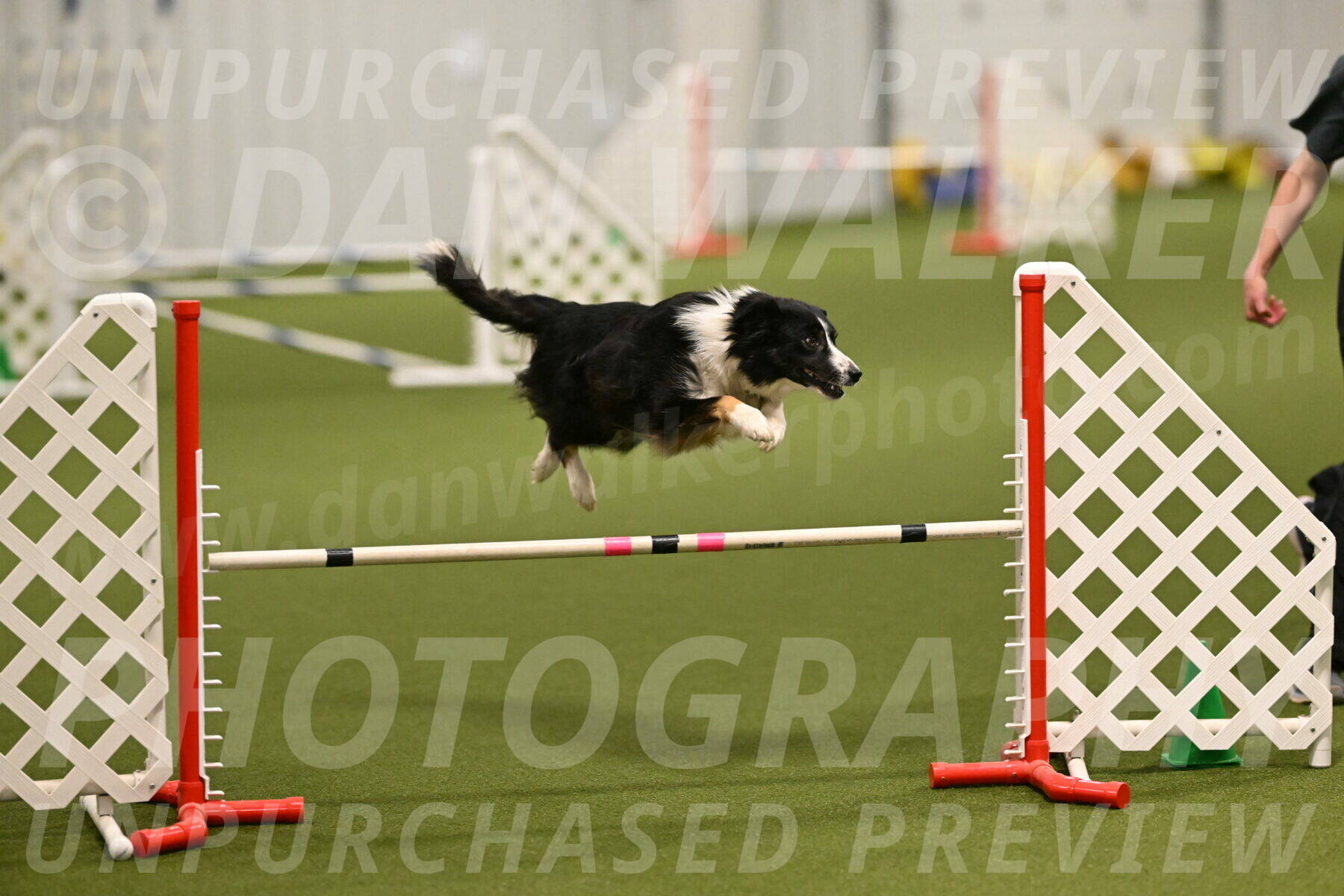 Myka-Sarah-Gould-08057