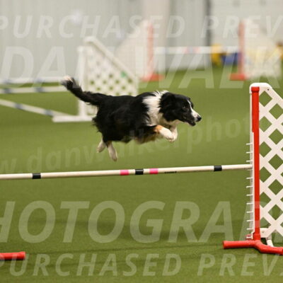 Myka-Sarah-Gould-08057