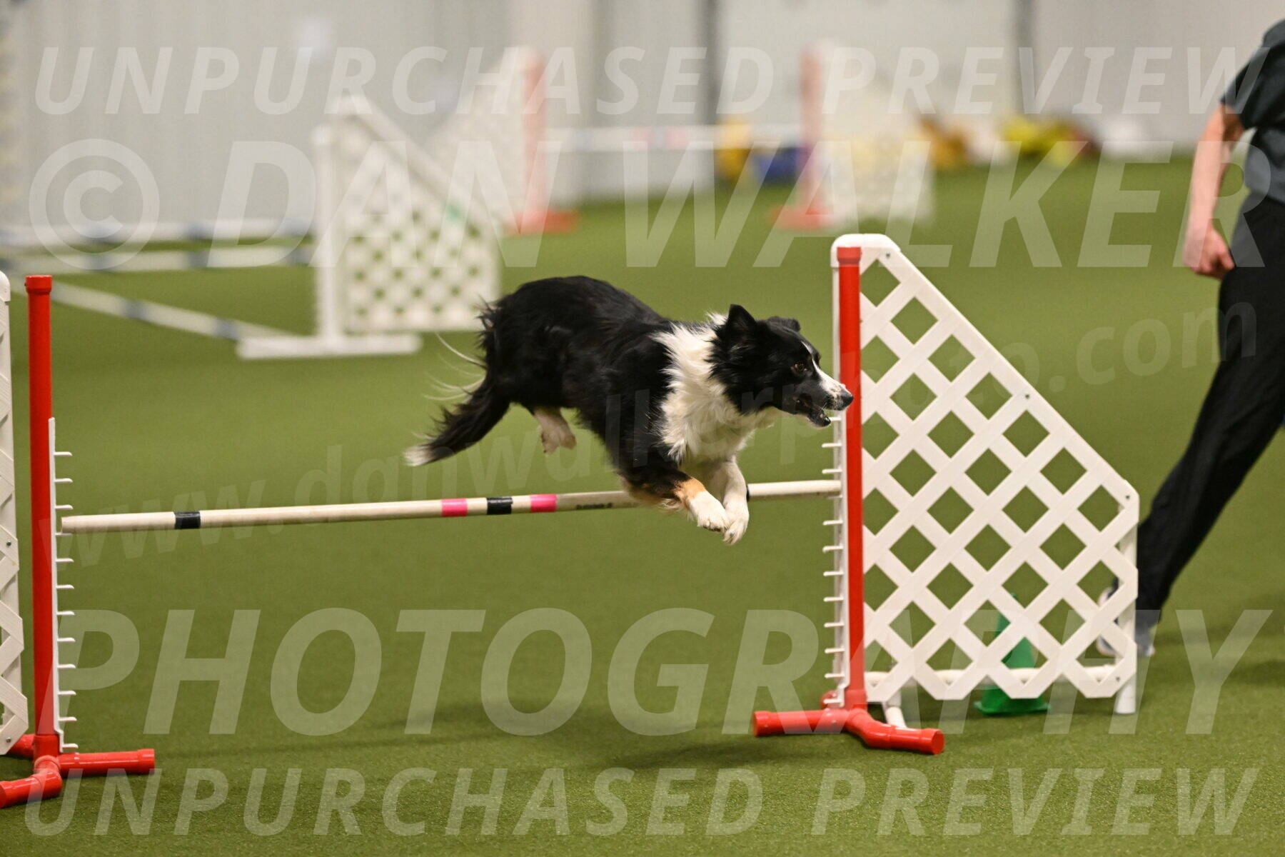 Myka-Sarah-Gould-08058