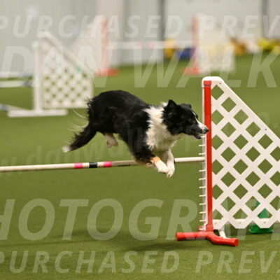 Myka-Sarah-Gould-08058