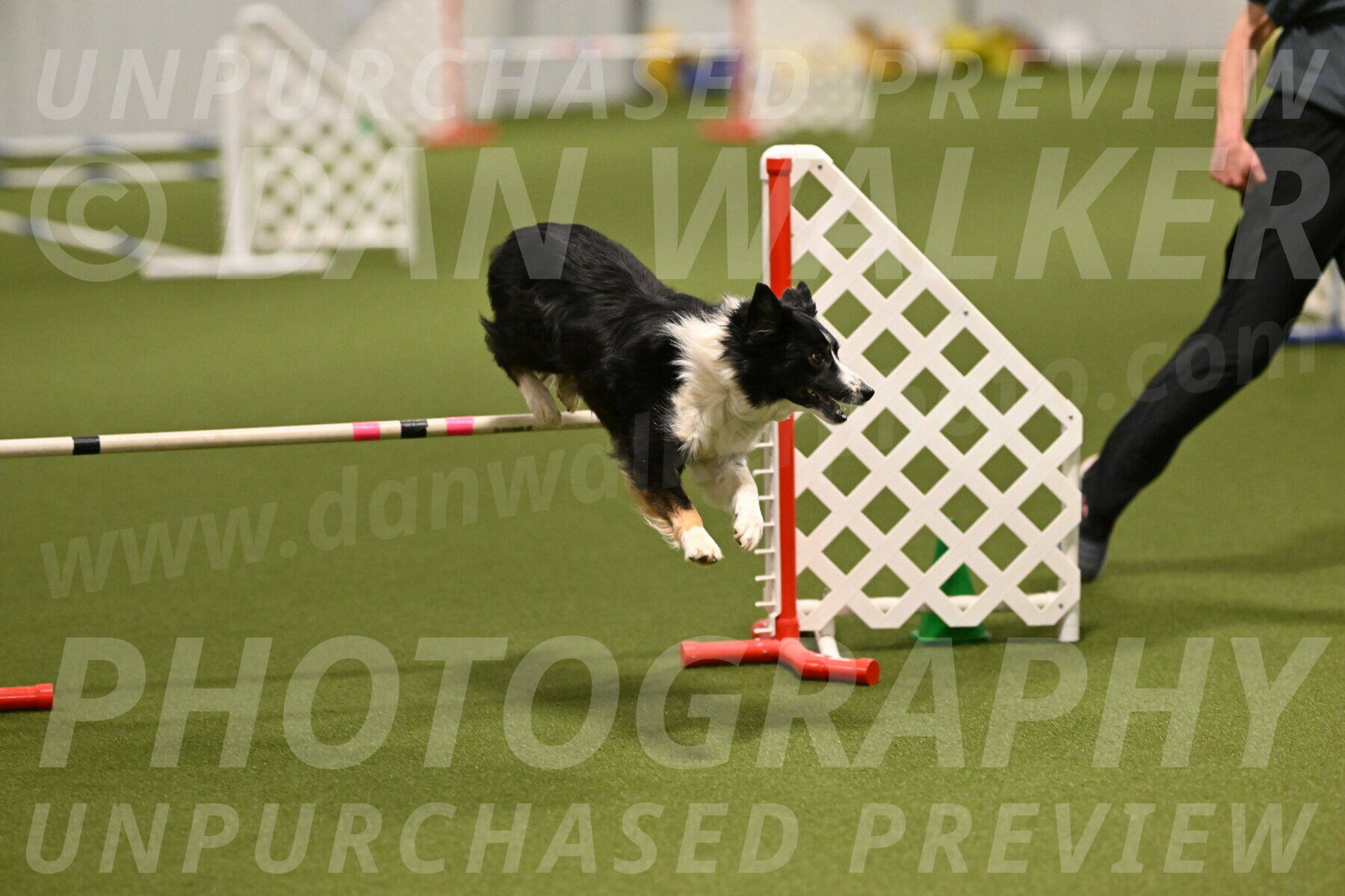 Myka-Sarah-Gould-08059