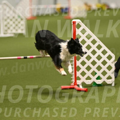 Myka-Sarah-Gould-08059