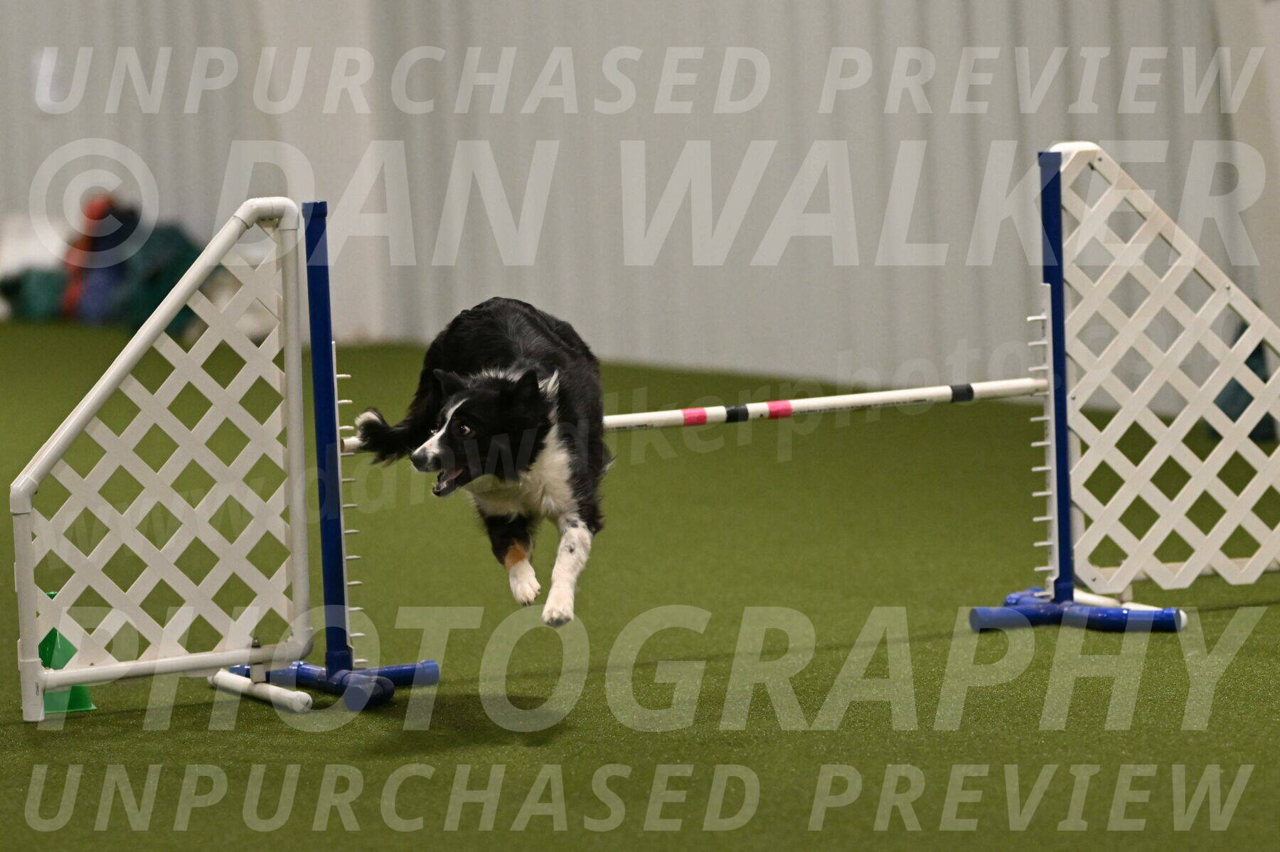 Myka-Sarah-Gould-08060