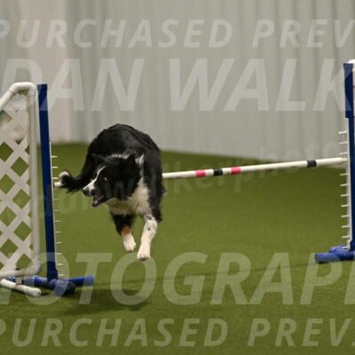 Myka-Sarah-Gould-08060