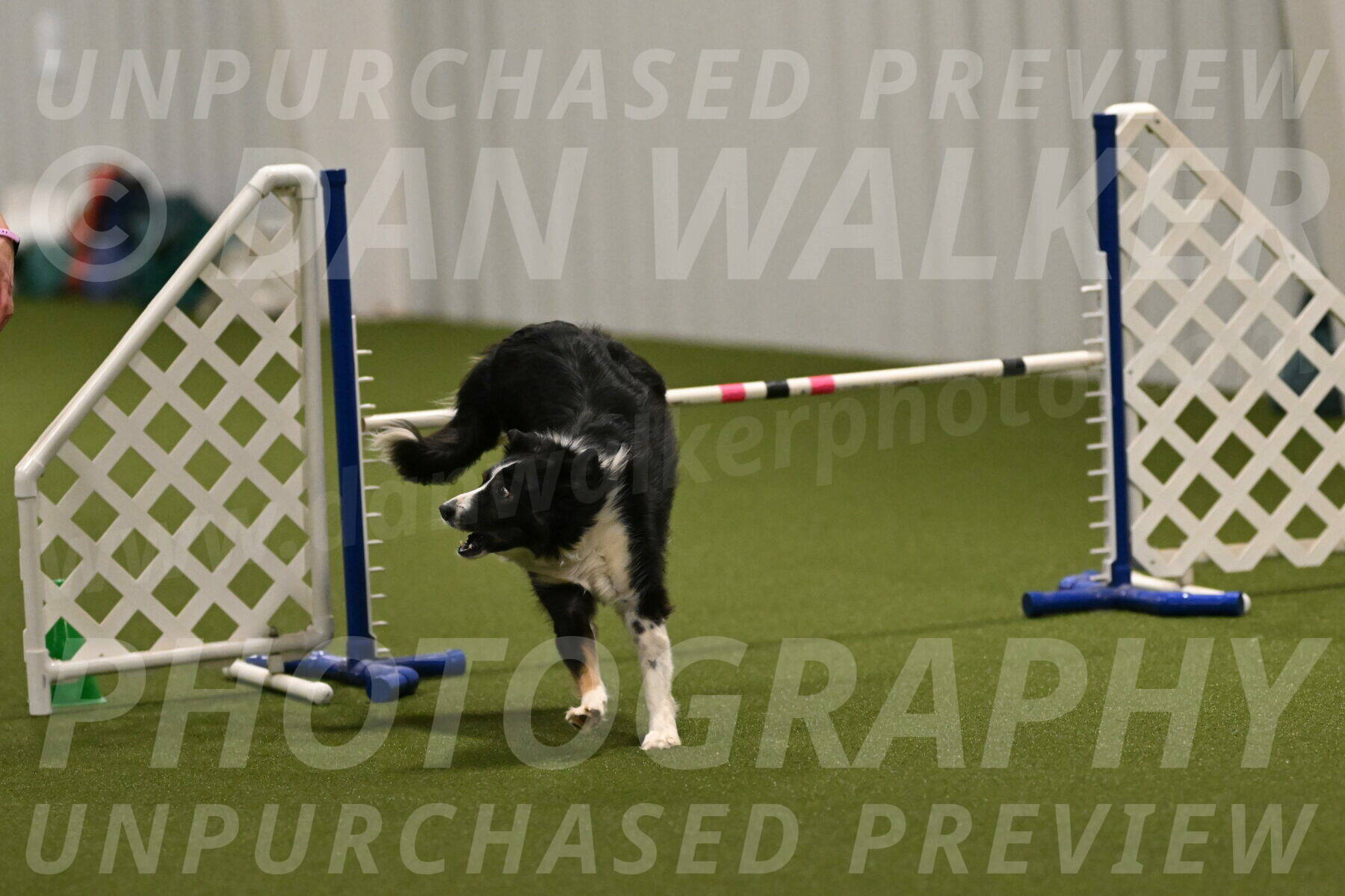 Myka-Sarah-Gould-08061