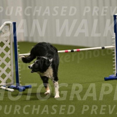 Myka-Sarah-Gould-08061