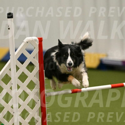 Myka-Sarah-Gould-08062