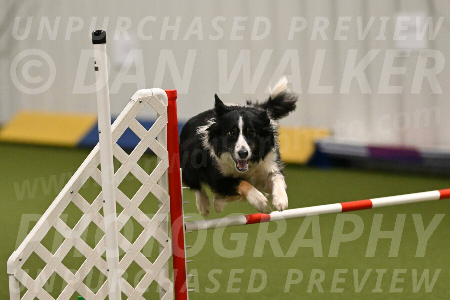 Myka-Sarah-Gould-08062