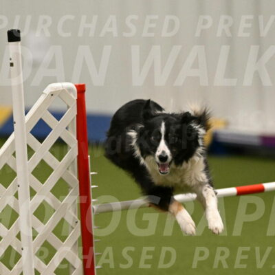 Myka-Sarah-Gould-08063