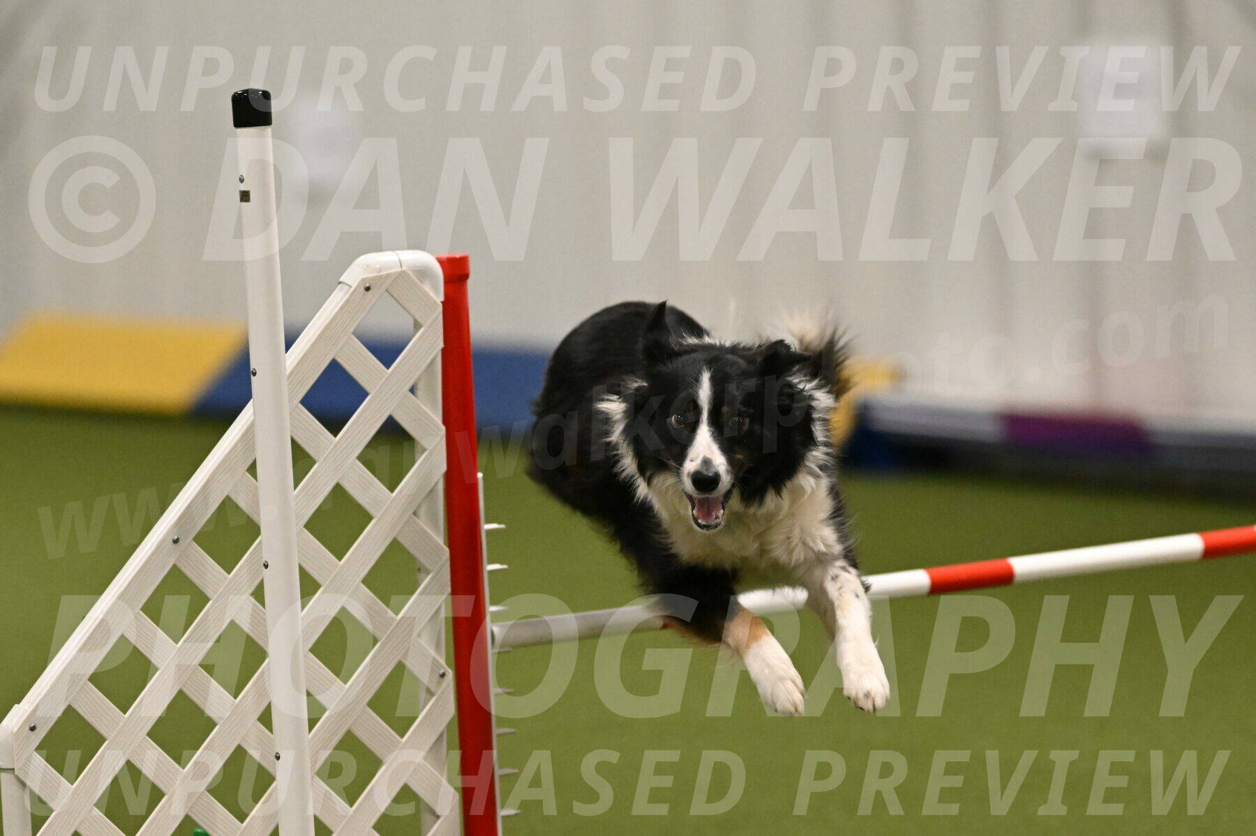 Myka-Sarah-Gould-08063