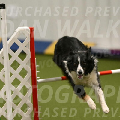 Myka-Sarah-Gould-08064