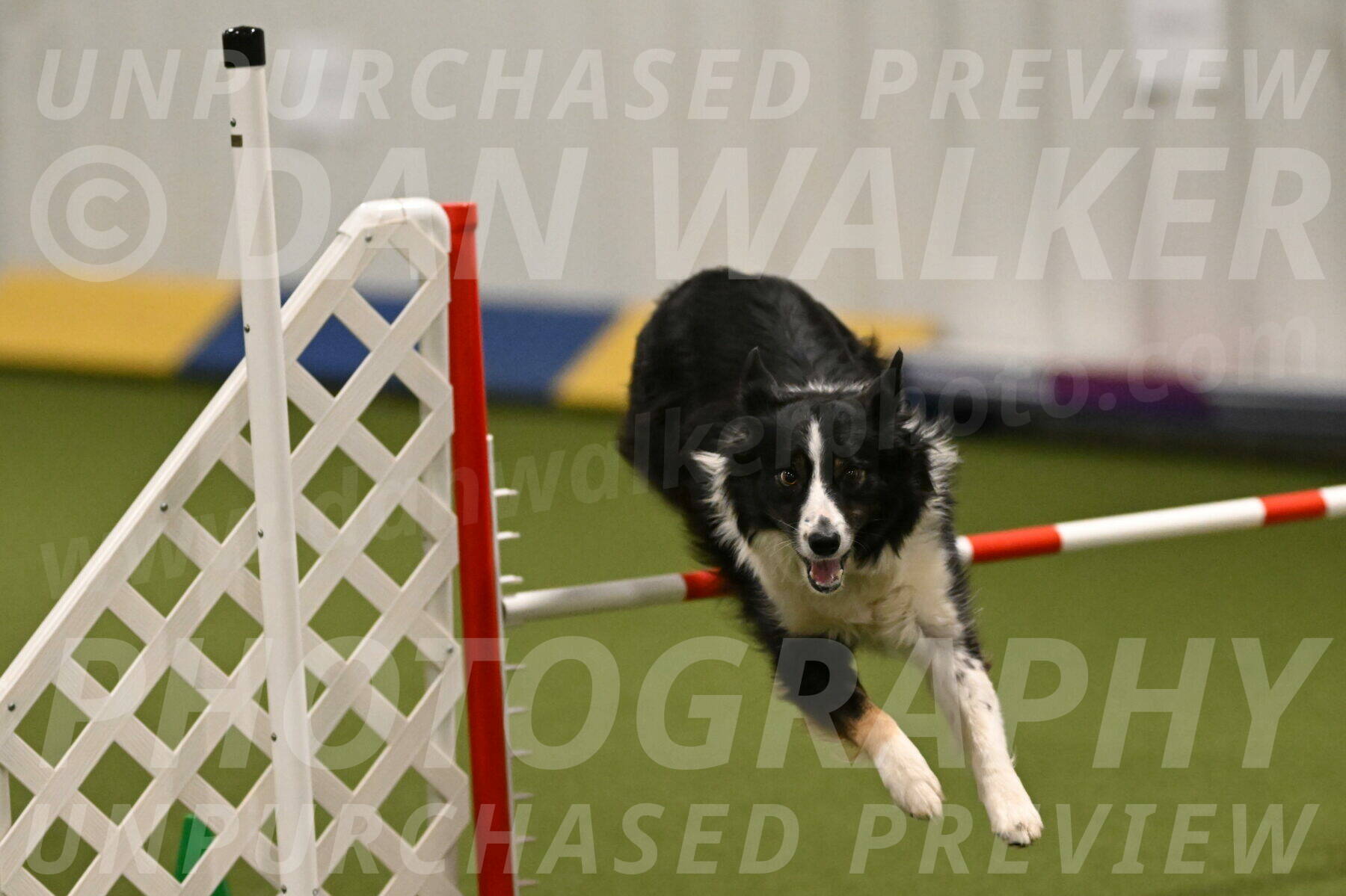 Myka-Sarah-Gould-08064