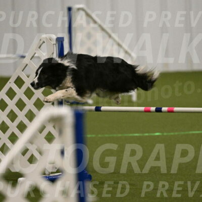 Myka-Sarah-Gould-08065