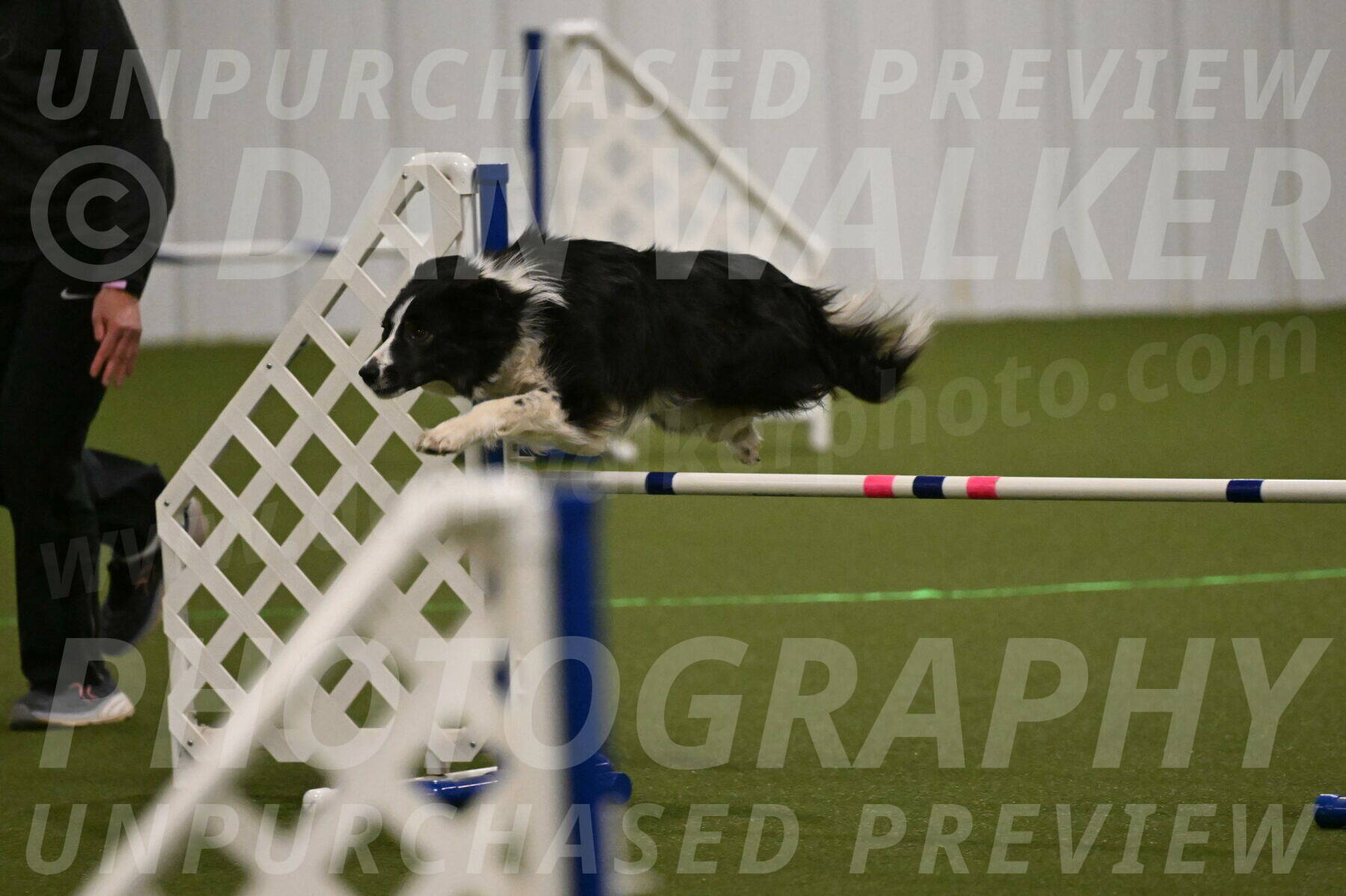 Myka-Sarah-Gould-08065