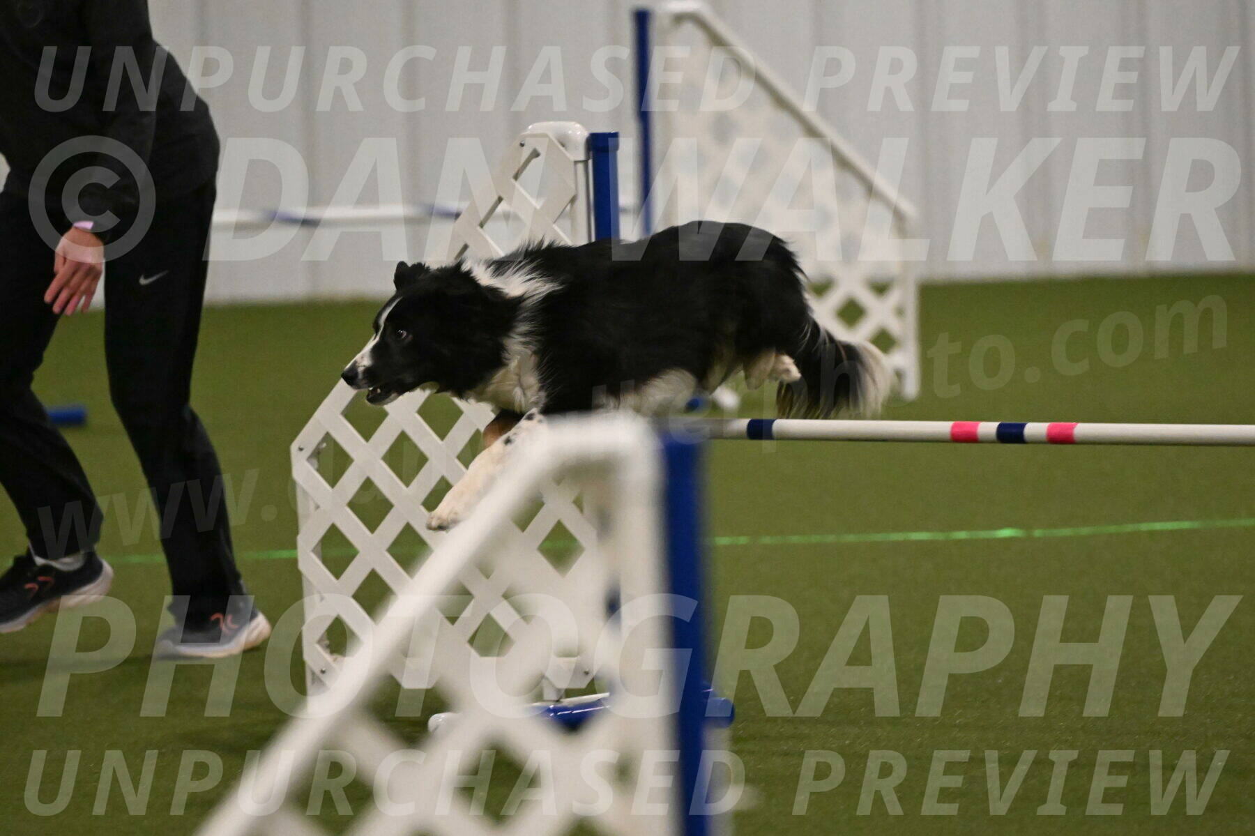 Myka-Sarah-Gould-08066