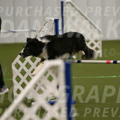 Myka-Sarah-Gould-08066