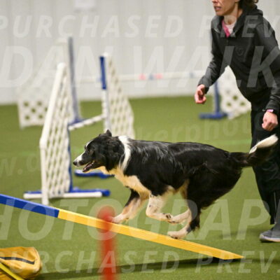 Myka-Sarah-Gould-08067