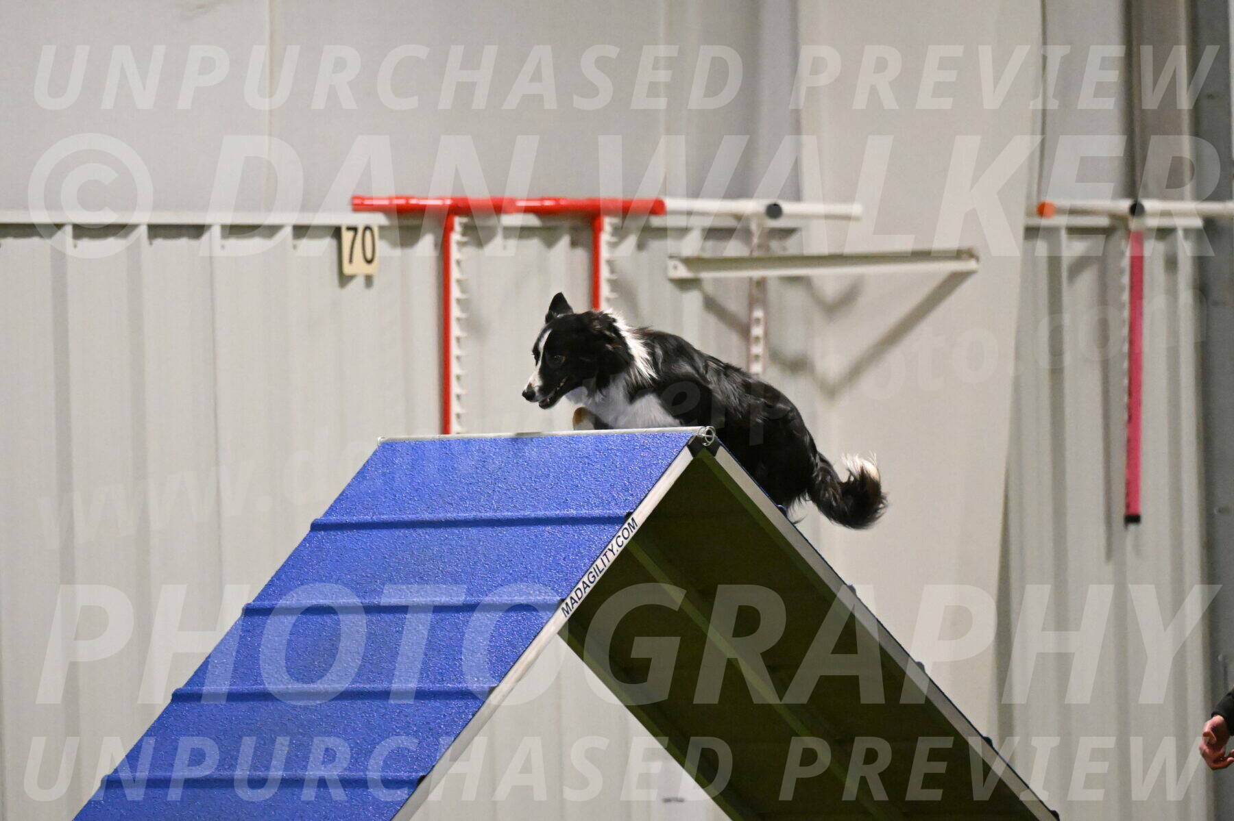 Myka-Sarah-Gould-08077