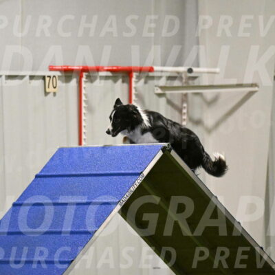 Myka-Sarah-Gould-08077